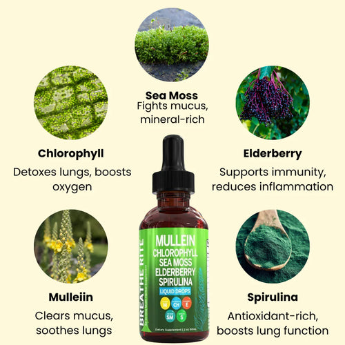 Daily Lung Cleanse & Support