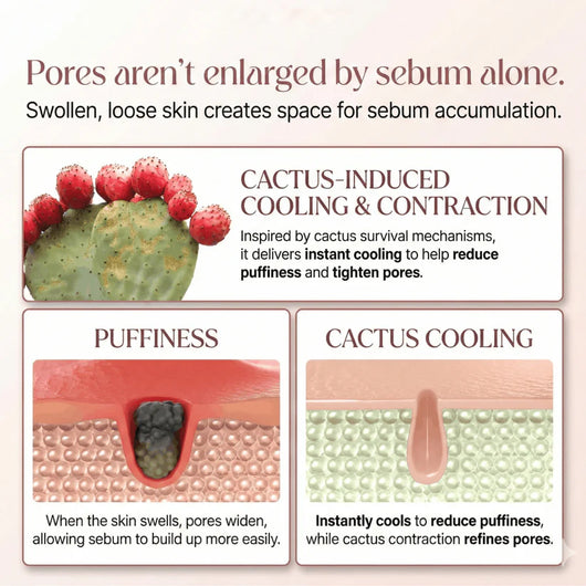 Facetique Pore Relief Multi Balm